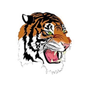 Tigers Shotokan Karate Club Fi.va.to - karate in Tulear