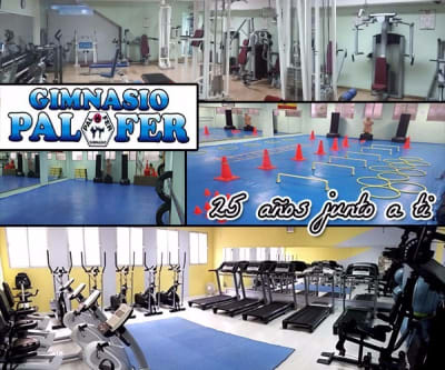 Gimnasio Palfer - karate in La Solana