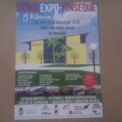 Pabellón Multiusos Ángel Calvo, Pinseque - baloncesto in Pinseque