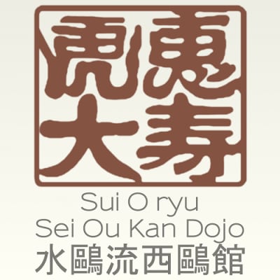 Dojo Aikido - Dojo Hiryukan - judo in Pamplona