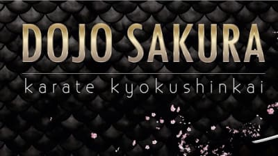 Karate Kyokushinkai DOJO SAKURA - karate in Viladecans