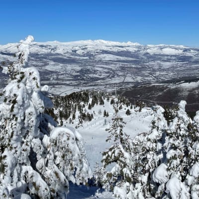 Estació d'Esquí i Muntanya de Masella - ski in Masella