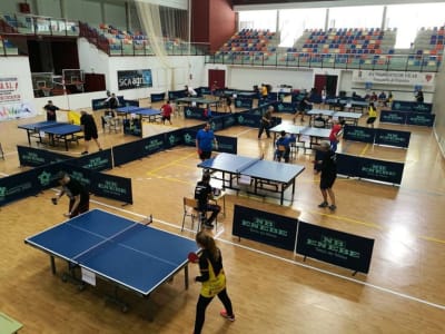 Club tenis de mesa Vícar - tenis in Las Cabañuelas
