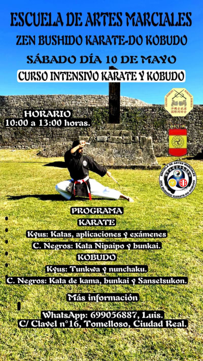 Escuela de Artes Marciales Zen Bushido Karate-do Kobudo Tomelloso - judo in Tomelloso