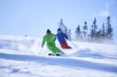 Escuela española de esquí y snowboard Pirineos - ski in Jaca