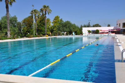 Piscina interior municipal - natacion in Ferreira do Alentejo