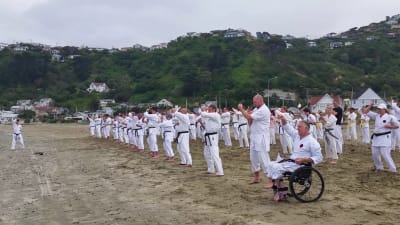 Wellington Goju Ryu Karate - karate in Wellington