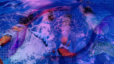 Glu Sirenas - natacion in València