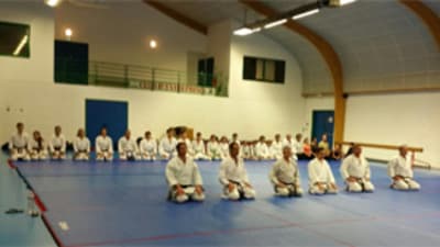 Saintes Karaté Club - karate in Saintes