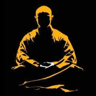 INSTITUTO SHAOLIN CHAN SAN PEDRO - karate in San Pedro Alcántara