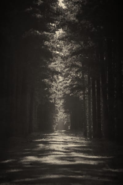 GoJu Ryu Karate-Do Shingokan - karate in Mount Gambier