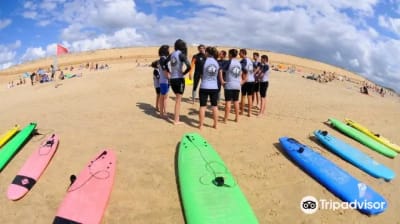 Santocha Surf, Skate & Bodyboard Club - surf in Capbreton