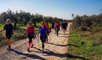 Centre Esportiu Municipal El Fornàs - baloncesto in Valls