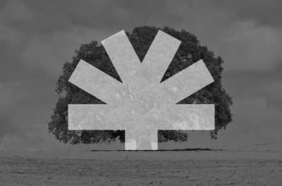 Quercus Crossfit - crossfit in Zafra