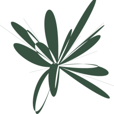 Revive Wellness Hub Salamanca - crossfit in Madrid