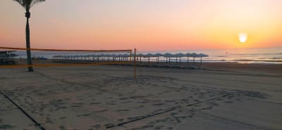 Club Voley Playa Aloha Guardamar - voleibol in Guardamar del Segura