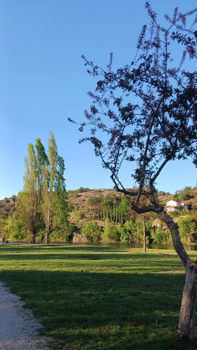 Zona verde Mirandela - beach_volley in Mirandela