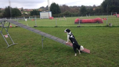 Campos Del Cid Jovellanos - beach_volley in La Pedrera