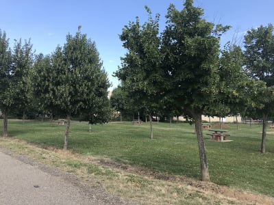 Polideportivo Veguellina - beach_volley in Villarejo de Órbigo