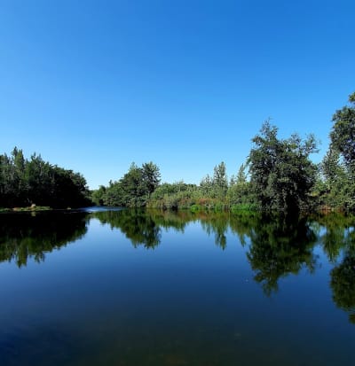 Playa El Hoyo - beach_volley in Milles de la Polvorosa