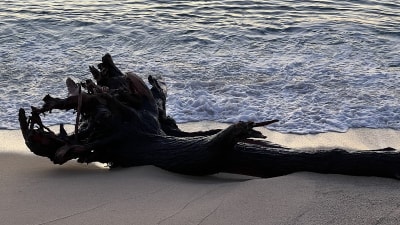 Pistes de Vòlei Platja - beach_volley in El Prat de Llobregat
