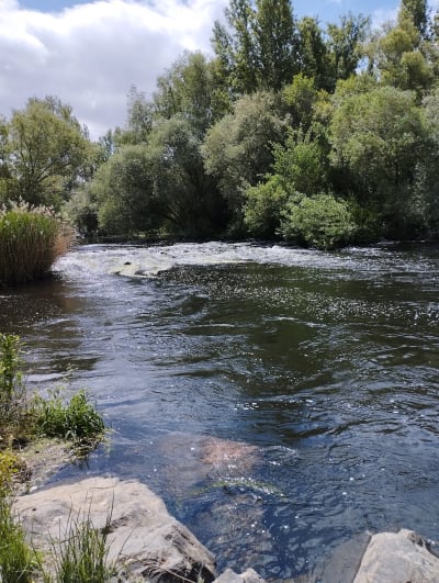 Merendero del Parque de La Aldehuela - beach_volley in Salamanca