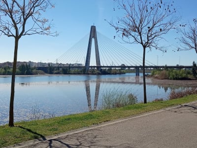 Entrada C/Málaga - Parque Márgenes del Guadiana (Badajoz) - beach_volley in Badajoz