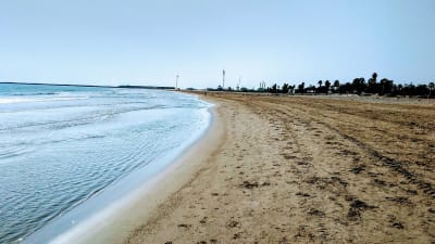 Arenal de Borriana - beach_volley in Burriana