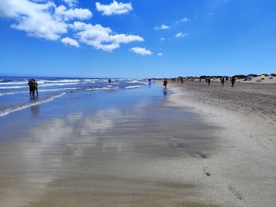 Playa del ingles, zona este de Maspalomas - beach_volley in Maspalomas