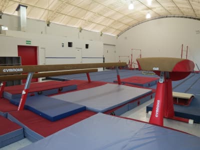 Escuela de Gimnasia - gimnasia in Lince