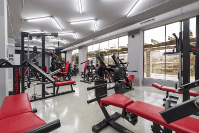 Athletics Centro de Entrenamiento - natacion in Ourense