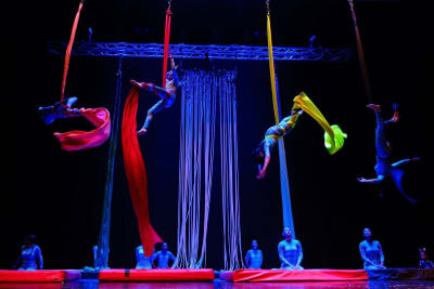 Gothic Circus School - gimnasia in Pontevedra