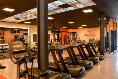 Distrito Fitness - gimnasia in La Bañeza