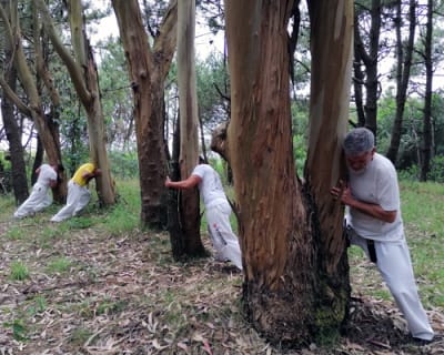 O Meu Dojo - Kyokushin Karaté - Vila do Conde - Mindelo - Amarante - Coimbra - Abrantes - Lisboa - - karate in Mindelo