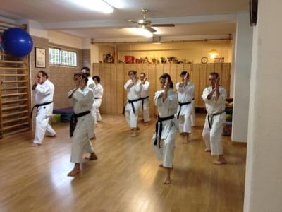 Karate Wado Ryu Club Deportivo Saidokan - karate in Madrid