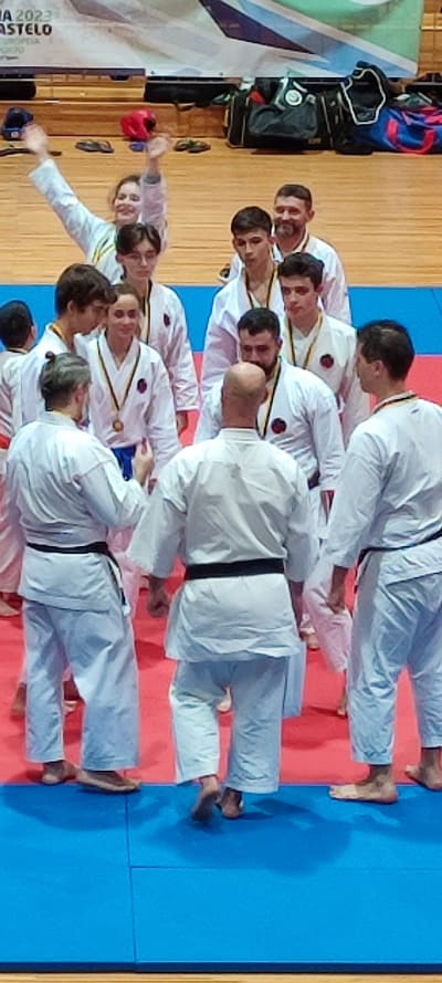 Karate Goju-Ryu Viana - karate 