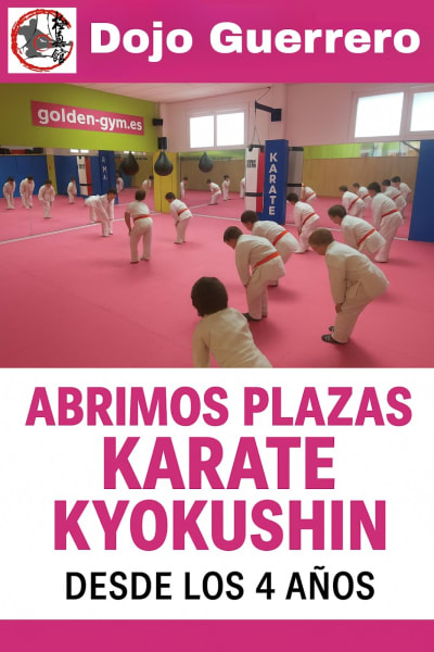 Dojo Guerrero - karate in Logroño