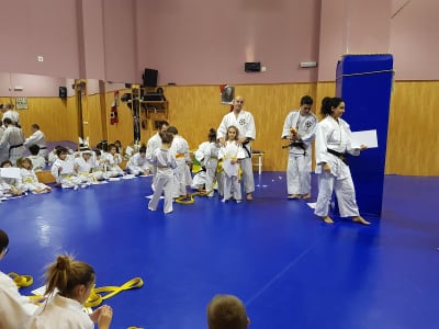 Gimnasio Héctor Ruiz - judo in Logroño