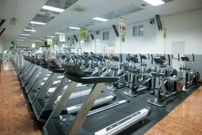 Gimnasio Gasteiz - karate in Vitoria-Gasteiz