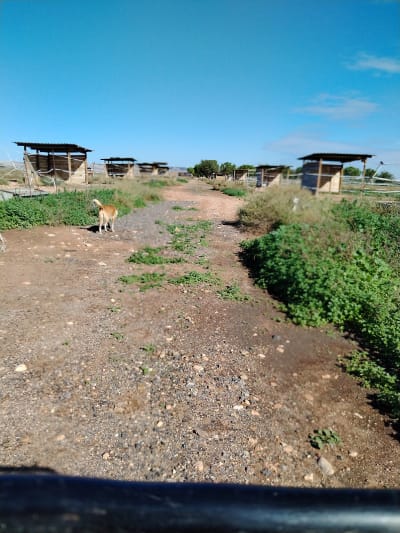 Club Deportivo Hípica Muel - gimnasia in Muel
