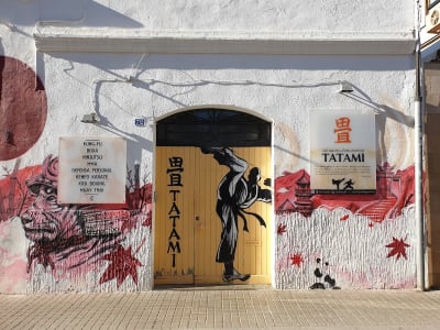 CLUB ESPORTIU ARTS MARCIALS TATAMI - judo in Sabadell