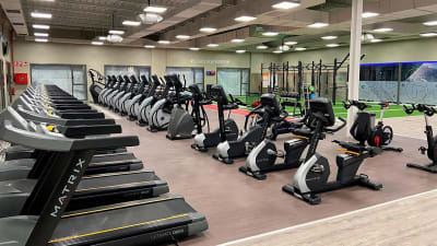 Gimnasio VivaGym Eliana - gimnasia in L'Eliana