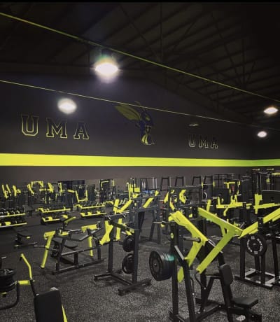 Uma Gym Canet - gimnasia in Canet d'en Berenguer