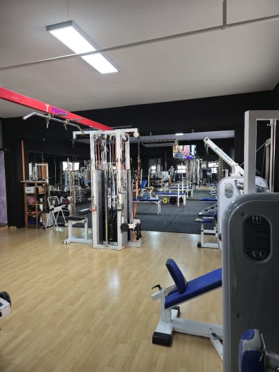 El nou gimbic - gimnasia in Olot