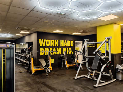 BFC Gym Vinaròs - gimnasia in Vinaròs