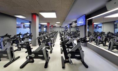 Club Metropolitan Badalona - gimnasia in Badalona