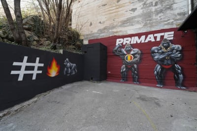 Primate Strength and Gymnastics - gimnasia in Andorra la Vella