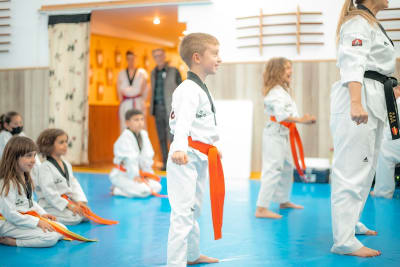 Escuela Victoria - karate in San Sebastián de los Reyes