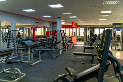 Destroyer gym Guadalajara - boxeo in Guadalajara