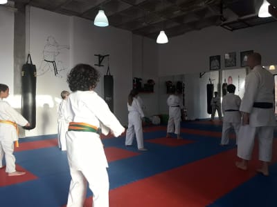 Escuela De Karate Lagos - karate in Rivas-Vaciamadrid